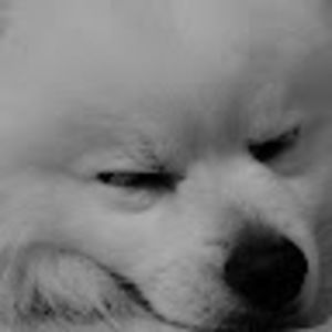 Meet your Posher, Elaine